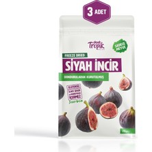 Dondurularak Kurutulmuş Siyah Incir 20 G | Freeze Dried Meyve Cipsi | Çıtır Meyve Kurusu | 3 Adet