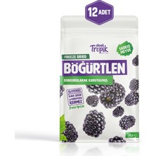 Dondurularak Kurutulmuş Böğürtlen 18 G | Freeze Dried Meyve Cipsi | Çıtır Meyve Kurusu | 12 Adet
