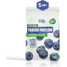 Dondurularak Kurutulmuş Yaban Mersini 18 G | Freeze Dried Meyve Cipsi | Çıtır Meyve Kurusu | 5 Adet