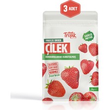 Dondurularak Kurutulmuş Çilek 18 G | Freeze Dried Meyve Cipsi | Çıtır Meyve Kurusu | 3 Adet