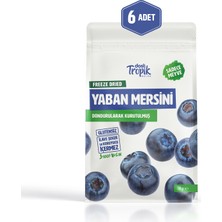 Dondurularak Kurutulmuş Yaban Mersini 18 G | Freeze Dried Meyve Cipsi | Çıtır Meyve Kurusu | 6 Adet
