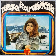 Neşe Karaböcek  -  Intizar  /  Karlı Bir Kış Günü   (45 Lik Yerli Plak-Dönem Baskı)
