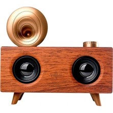 Kocadal Gramafon Nostaljik Radyo Yüksek Ses Kalitesi USB Tf Kart Aux