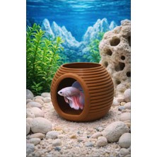 Mdizmir 5 Adet Balık Yuvası 8*8 Mini Boy