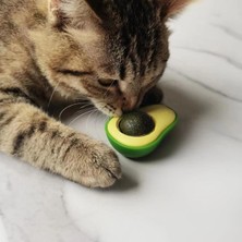 Senka Mey Ithalat® Avokado Model Yapışkanlı Kedi Oyuncağı Yenilebilir Kedi Nanesi Otu