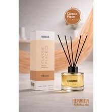 Bargello Classıc Place Odunsu 120 Ml Dekoratif Ortam Kokusu