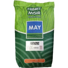 Cegel Ziraat Hibrit Mısır Tohumu Rx 9292 (1 Kilogram)