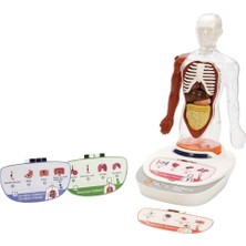 Belle Fusion Mey Ithalat® S00005280 Bilim Set Insan Vücudu Modeli 23PRÇ