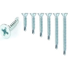 Meridyen Yhb Matkap Uçlu Akıllı Vida 4,8X38 ( 10 Adet )