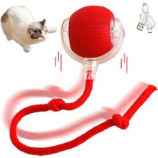 MiraLive Şarjlı Kedi Oyuncağı