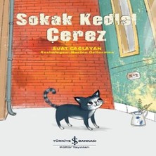Esranın Dünyası Sokak Kedisi Çerez