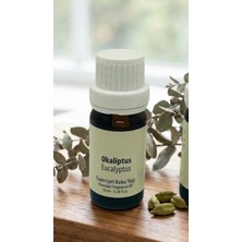 Hane216  Esansiyel Uçucu Koku Yağı Difüzör Esansı Buhurdanlık Yağı 10 ml - 0.38 Fl Oz.