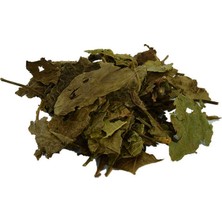 Esranın Dünyası Ceviz Yaprağı Doğal 100 gr Paket