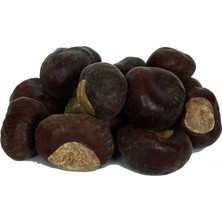 Esranın Dünyası At Kestanesi Meyvesi Doğal 1000 gr Paket