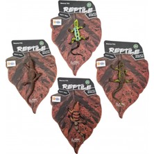 Renklime Kartelada 4 Asst.yumuşak Sürüngen Hayvanlar