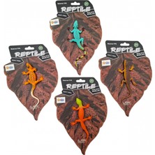 Renklime Kartelada 4 Asst.yumuşak Sürüngen Hayvanlar