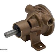 JPR-15IP Jmp Marine Mase Multi-Purpose Small Generator Flexible Impeller Pedestal Pump (Replaces Johnson 10-24570-01)