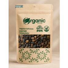 Defne Tohumu 200 gr | Taze ve Doğal Defne Tohumu | Kurutulmuş & Elenmiş Katkısız