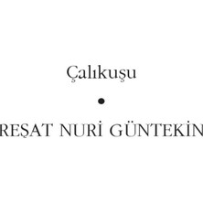 İnkılap Kitabevi Çalıkuşu - Reşat Nuri Güntekin Ciltsiz 376 Sayfa Türkçe Edebiyat Eseri