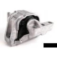 YTT Motor Takozu cc 12-16