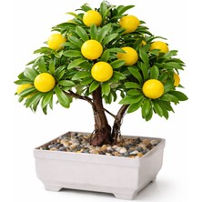 B&Nine Premium Gerçekçi Yapay Limon Bonsai Ağacı - 24 cm Dekoratif Saksılı Yapay Bitki