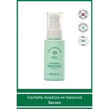 Dermal Cıca x Mide Serum Centella Asiatica ve Seramid Özlü Serum 50 ml