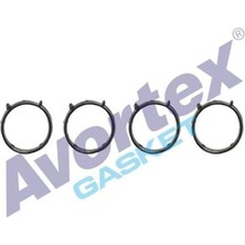 Avortex Emme Manifold Contası Silikon Doblo 1.9 D