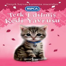 Xciks Collections Terk Edilmiş Kedi Yrusu
