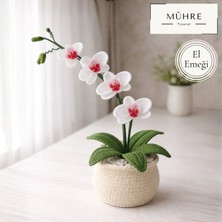 Mühre Saksıda Menekşe Hediyelik %100 Pamuklu Organik Amigurumi Örgü Doğumgünü Hediye