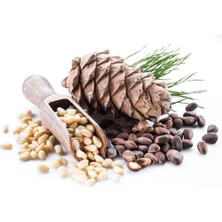 Kocadal Çam Fıstığı Deluxe Seri Organik Lezzetli 50 gr