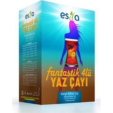 Kocadal Yaz Çayı 20 Li.