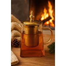 PremiumPort Şeffaf Borosilikat Cam Demlik ve Süzgeç, 950 Ml, Kapaklı Piramit Tasarım