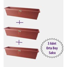 Ness Global 3 Adet 50 cm Orta Boy Balkon Saksısı – Dayanıklı Plastik Dikdörtgen Saksı Seti