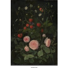 Pixaflair - Still Life With Roses And Strawberries Otto Diderich Ottesen - Tablo - Çerçevesiz Poster