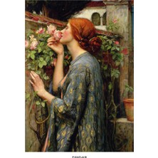 Pixaflair - John William Waterhouse's The Soul Of The Rose - Tablo - Çerçevesiz Poster