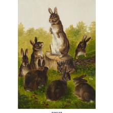 Pixaflair - Rabbits By William Jacob Hays Sr - Tablo - Çerçevesiz Poster