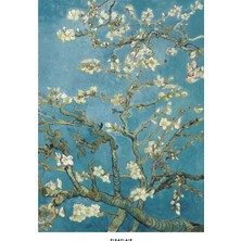 Pixaflair - Vincent Van Gogh's Almond Blossom - Tablo - Çerçevesiz Poster
