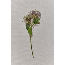 Paşabahçe Pincushion 41 cm Mor - 1 Adet