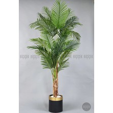 Biçiçek Areka Palmiyesi 220cm metal siyah gold saksıda
