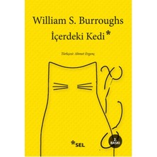 Beei Içerdeki Kedi