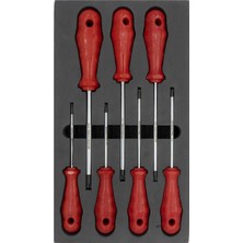 Beei Izeltaş Torx Uçlu Tornida Seti 7 Parça