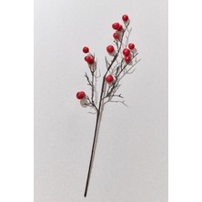 Paşabahçe Fruit 68 cm Kırmızı - 1 Adet