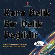 Beei Kara Delik Bir Delik Değildir