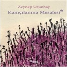 Beei Kamçılanma Mesafesi