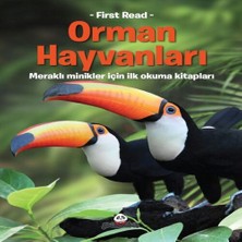 Beei Orman Hayvanları