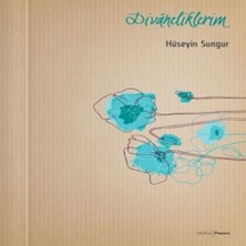 Beei Divaneliklerim