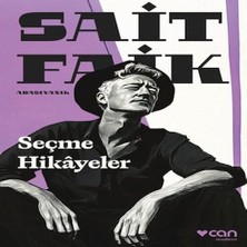 Beei Seçme Hikâyeler