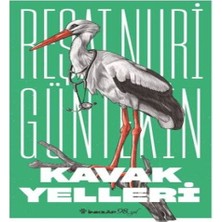 Beei Kak Yelleri (Yeni Kapak)