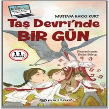 Beei Taş Devri’nde Bir Gün