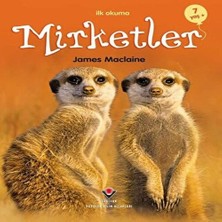 Beei Ilk Okuma - Mirketler